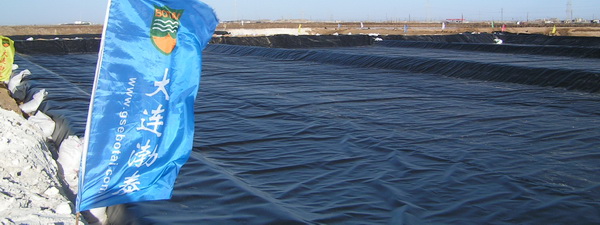 渤泰HDPE土工膜|渤泰土工膜|渤泰毛面土工膜|渤泰糙面土工膜|渤泰防滲土工膜|渤泰防水板|渤泰HDPE防滲土工膜|渤泰HDPE單糙面土工膜|渤泰HDPE雙糙面土工膜|渤泰人工湖防滲|渤泰水池防滲|渤泰化工污水防神防腐|渤泰垃圾填埋場防滲|渤泰防滲工程|土工膜A渤泰|防滲土工膜A渤泰|防水板A渤泰|HDPE高密度聚乙烯土工膜A渤泰|HDPE土工膜A渤泰|HDPE防水板A渤泰|