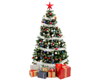 ���]�w�S��PP����(y��ng)����ʥ�Q��(sh��)