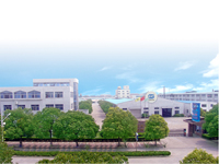 ���Ҹ��и��滯�w���޹�˾