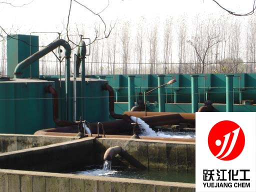 �Ϻ��S��⁰׻�����Ʒ���޹�˾