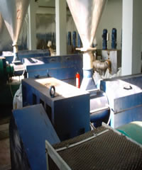 �ݗU�D���C