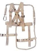 ȫ����ȫ��