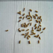 �Sɫ����PP