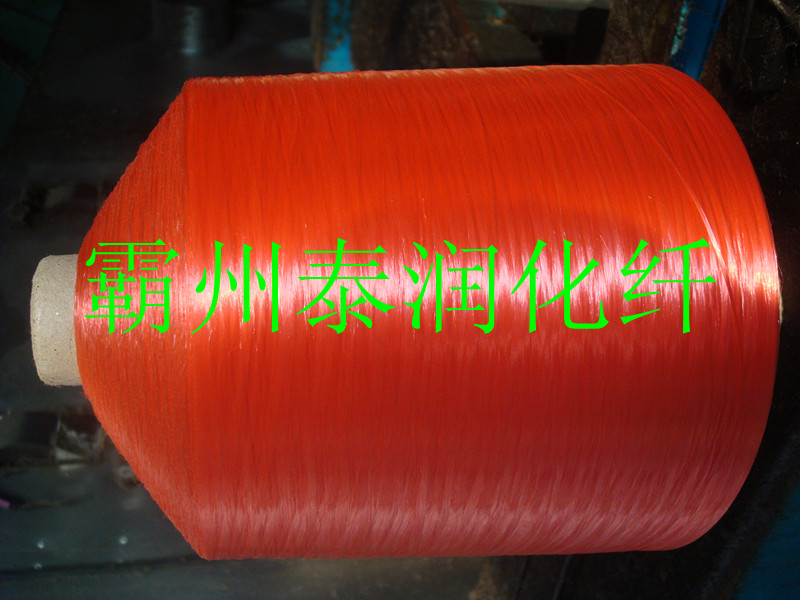 ����(y��ng)��(y��u)�|(zh��)���]�L(zh��ng)�z