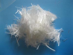 �����w�S