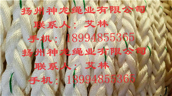 pp�K/�����|�K