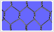 ���ǾW(w��ng)