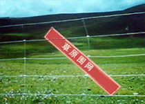 ��ԭ���ھW(w��ng)