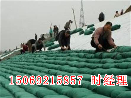 �h(hu��n)�����B(t��i)�o(h��)�´������B(t��i)����ֲ������(zhu��n)�I(y��)���a(ch��n)�S(ch��ng)��