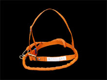 늹���ȫ�� �t�α���ȫ��