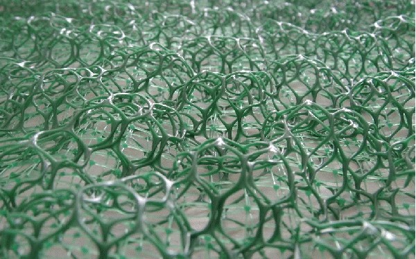 �ϳ�ֱ�N���S�����W(w��ng)�|��ֲ���W(w��ng)�S��ֱ�N