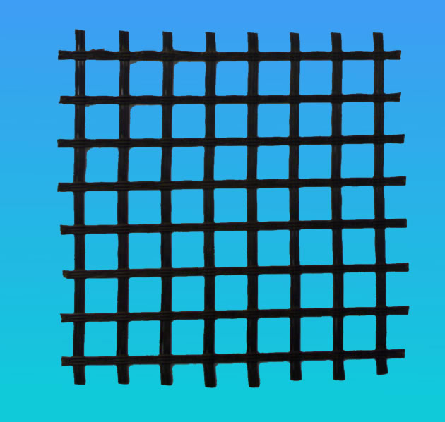 �����w�S������š����w�������