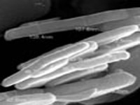 �o�C(j��)������