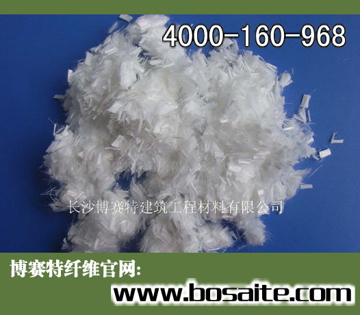 �V�������w�S