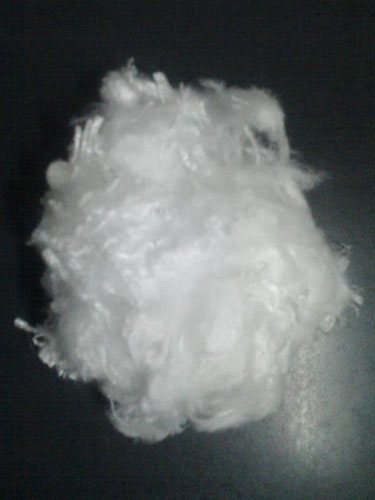 ����(y��ng)��܈PP���]���w�S