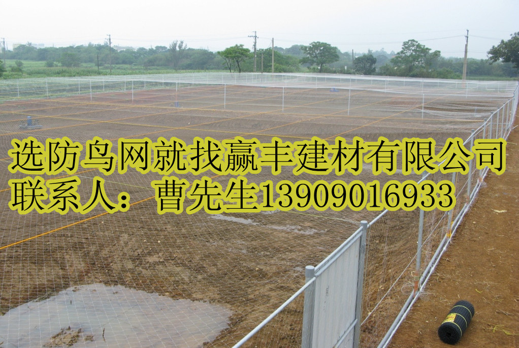 �������B�W