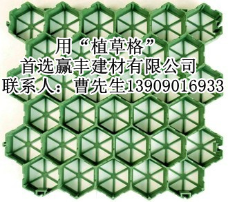 ����(y��ng)ֲ�ݸ�