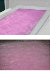 ԇ�(y��n)�o�����C(j��)