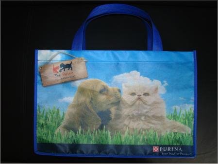 �B�T�\(ch��ng)�܏S�D���