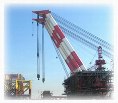 TK���D�PС̹��