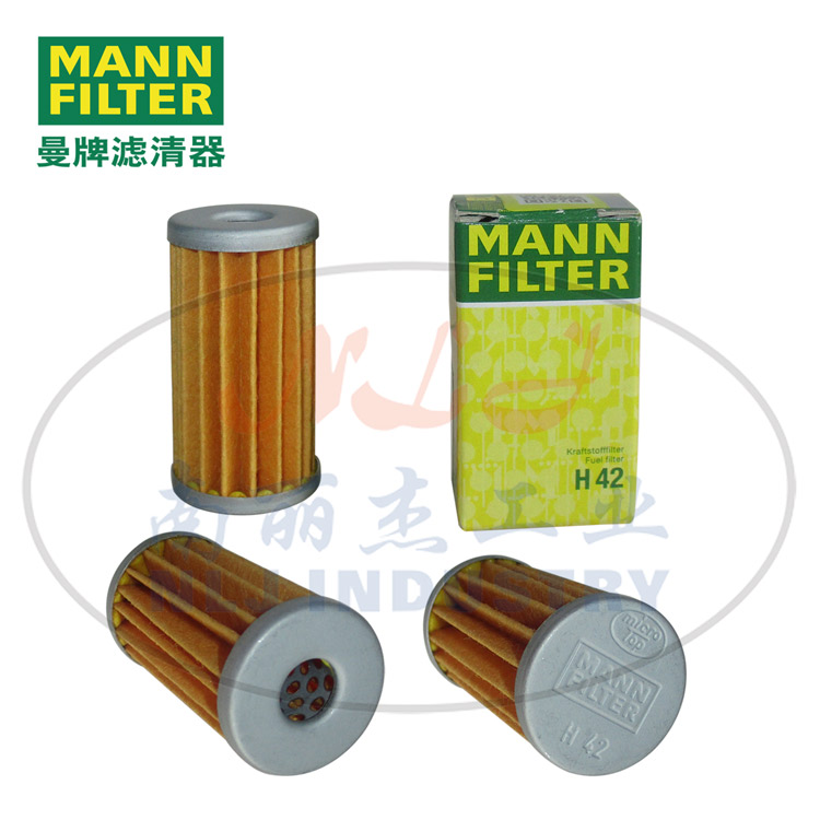 H42�C(j��)�͞V�������C(j��)�͞VоMANN-FILTER���ƞV����