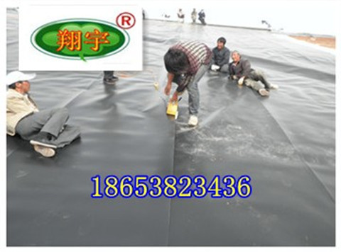 �˹������BHDPE����Ĥ