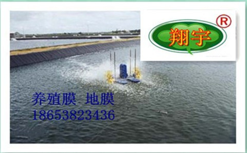 ��ˮ�B(y��ng)ֳĤ����(y��u)�|(zh��)��ˮ�B(y��ng)ֳĤ