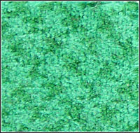 ���]�ؽq��̺