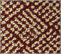 ���]�ؽq��̺