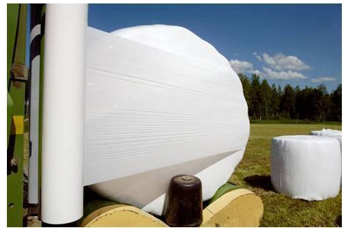 SE8286��ɫĸ��