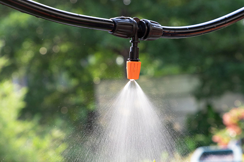 E0046��ɫĸ��