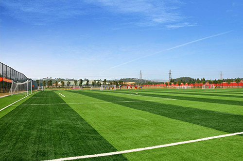 EMH61372��ƺ�Gɫĸ��