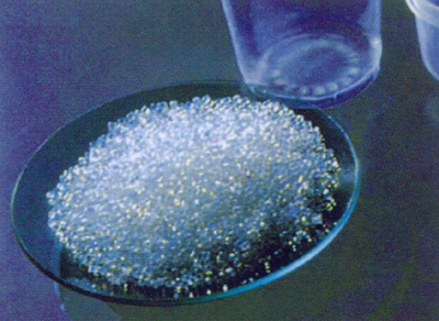 PP����ĸ��