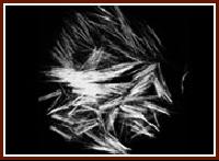 �����w�S