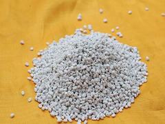 ���������ĸ��