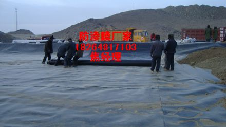 ����(y��ng)���׷��BĤ|���^�����BĤ