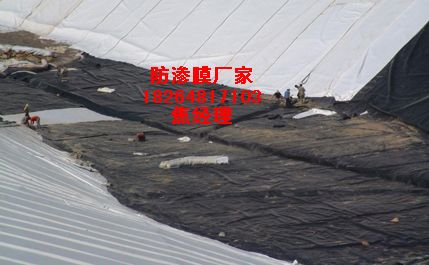 ����(y��ng)����ع��@���BĤ�����BĤ�����Xһƽ��