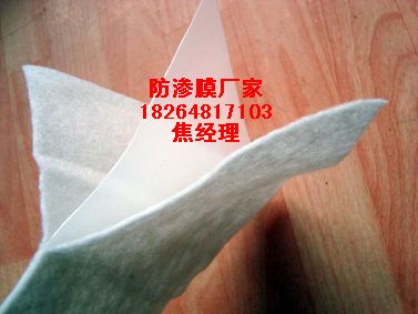 ����(y��ng)��(y��u)�|(zh��)���BĤ�S��|���ͺ��؃ɲ�һĤ�r(ji��)��