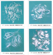 �����w�S