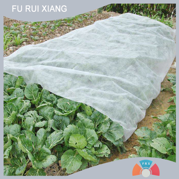 SMS�r(n��ng)�ñ��]��ճ�o����