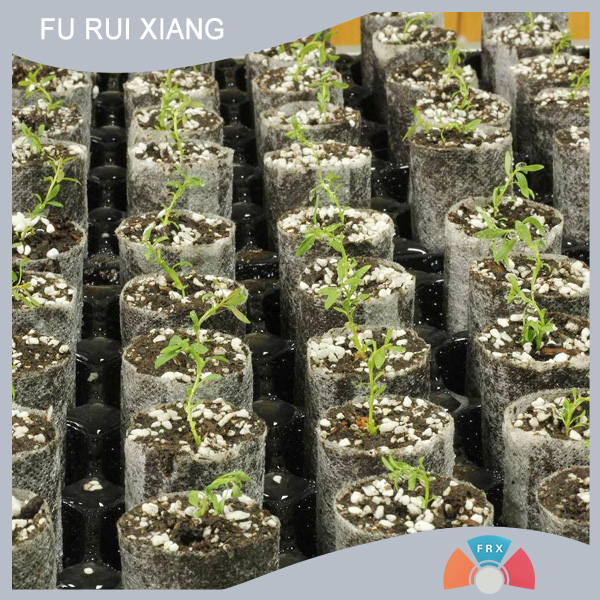 ��;�V�����r(n��ng)�ßo����