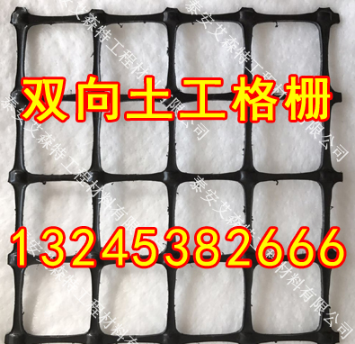 ��̶������ŏS��