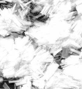 ��֬�ϳ��w�S