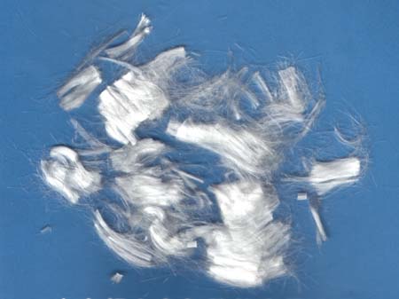 �����w�S