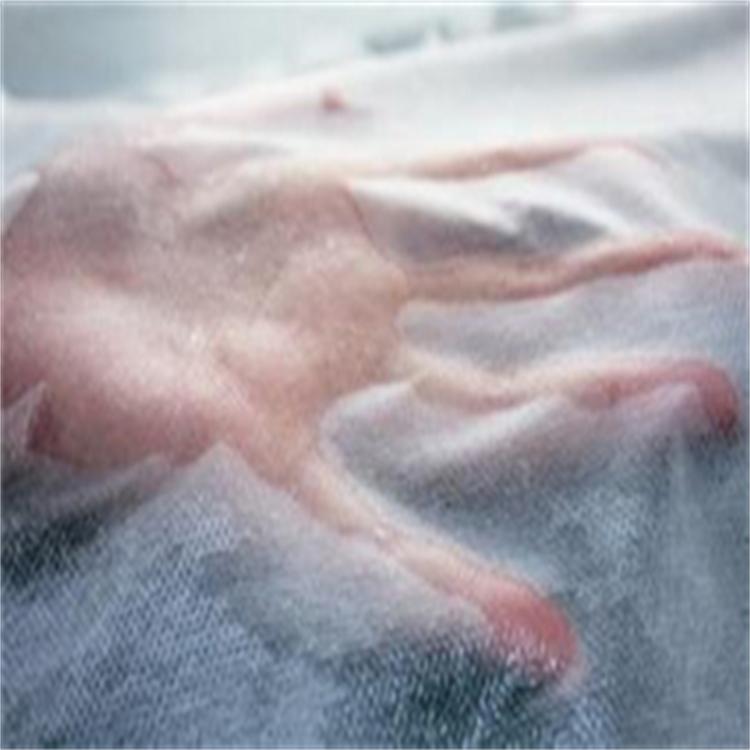 �o�����Hˮ̎��