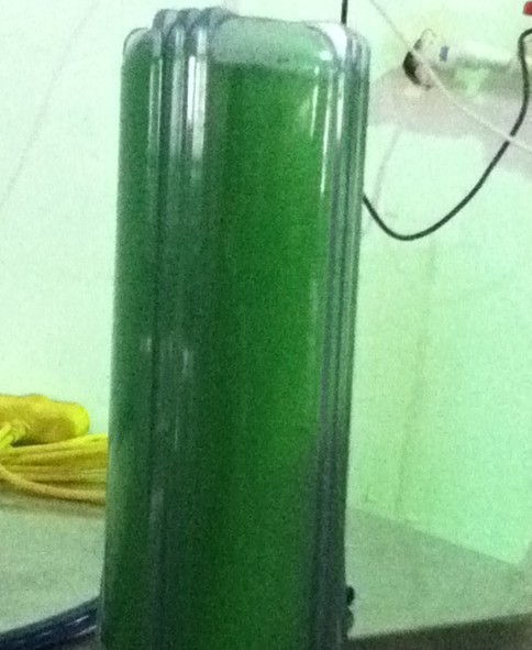 �^(gu��)�V��