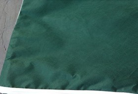 ��Ĥ�o����