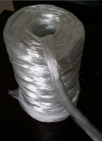 �ЉA�o�������w�S�ּ� 