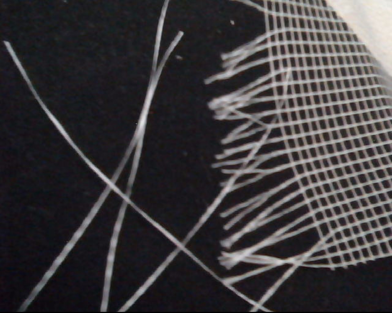 �ЉA�����w�S�z