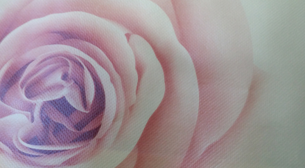 �o(w��)������